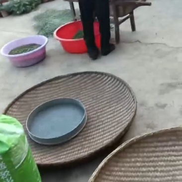 云南青花椒