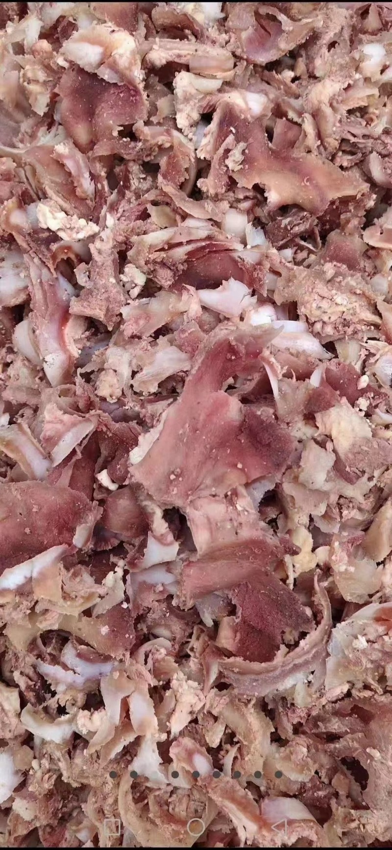 牛剔骨肉