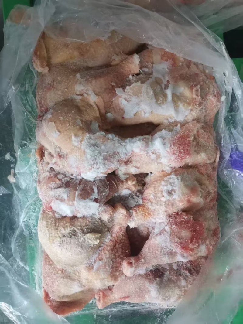 二级种鸡排腿20吨