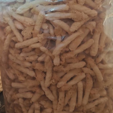 贵州红拖竹荪
