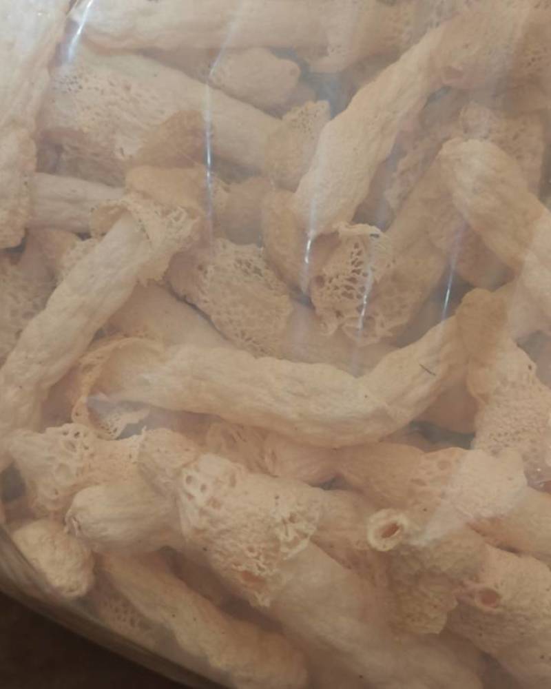 贵州红拖竹荪