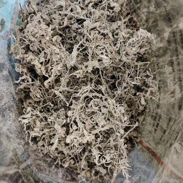 恩施硒都藤茶