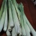 香茅草，无籽柠檬，。辣椒