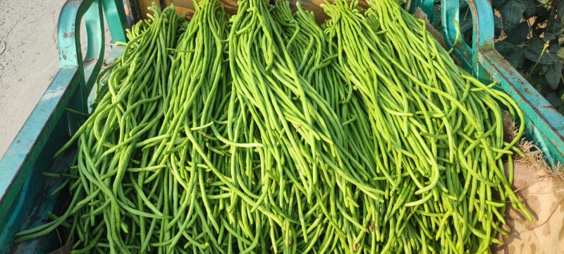 豆角
