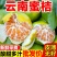 云南蜜橘，一件代发，各大电商平台都有对接