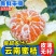 云南蜜橘，一件代发，各大电商平台都有对接