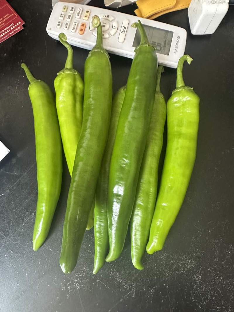 牛角椒，青皮椒，七寸红，耙齿椒