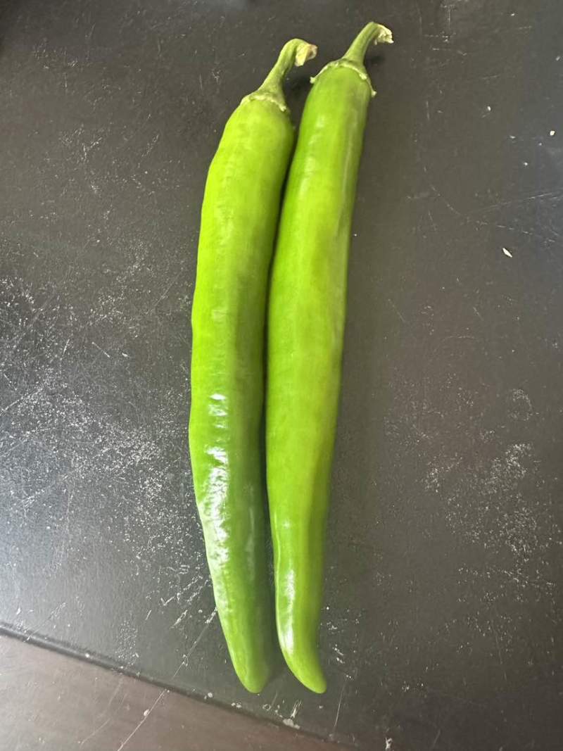 牛角椒，青皮椒，七寸红，耙齿椒