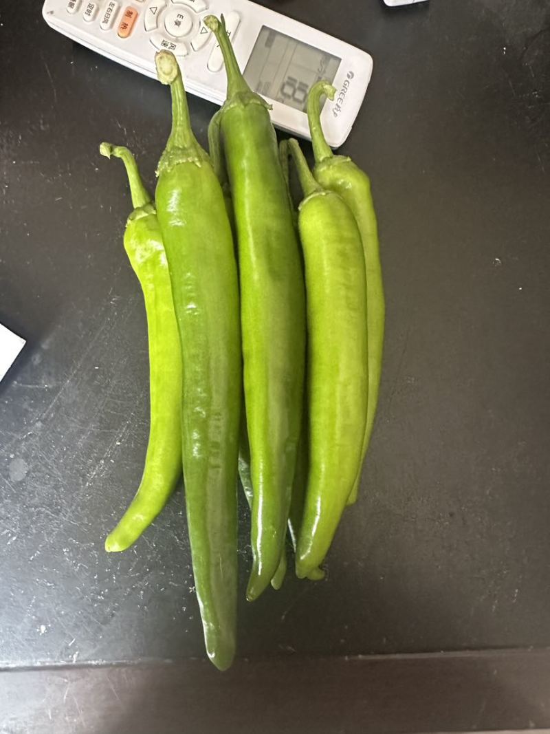 牛角椒，青皮椒，七寸红，耙齿椒