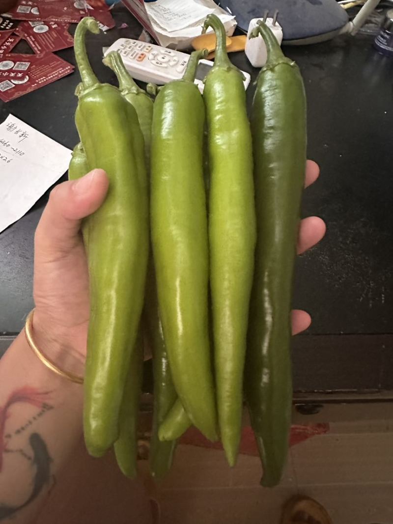 牛角椒，青皮椒，七寸红，耙齿椒