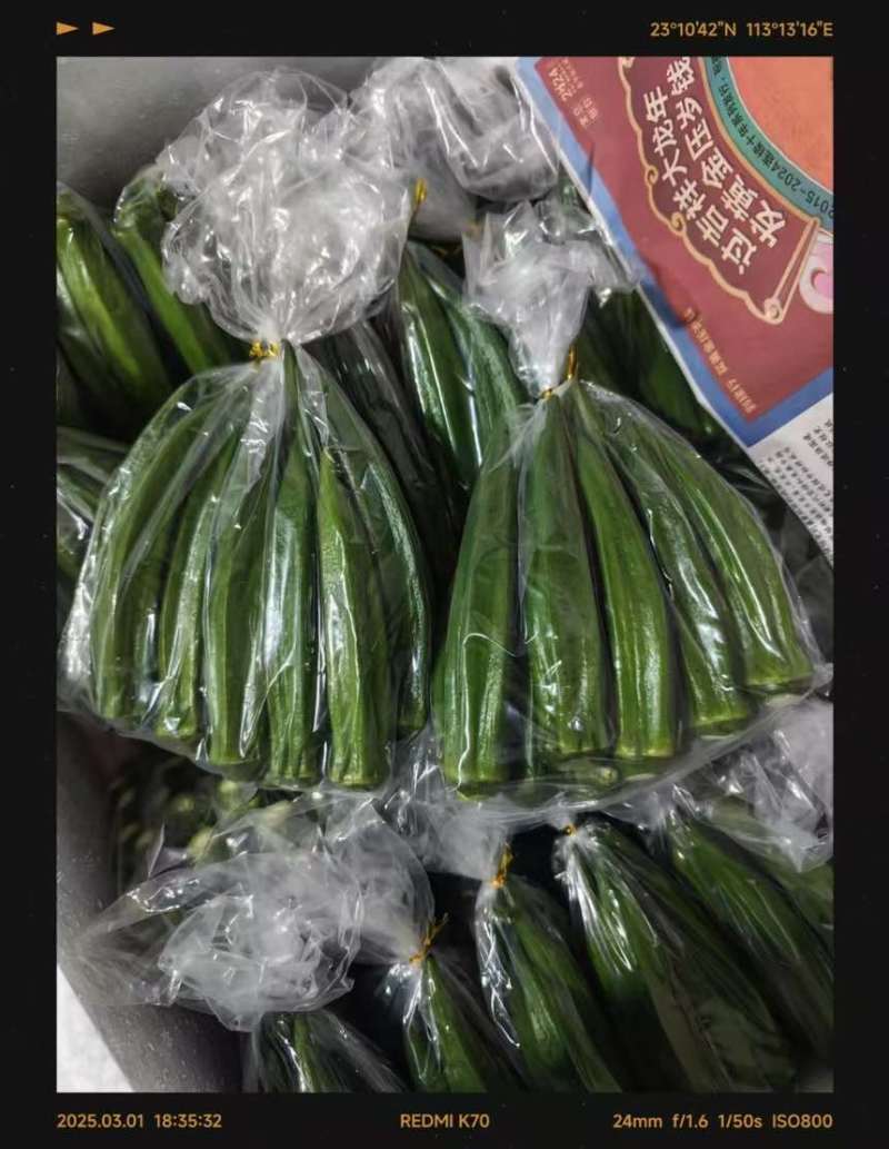 秋葵