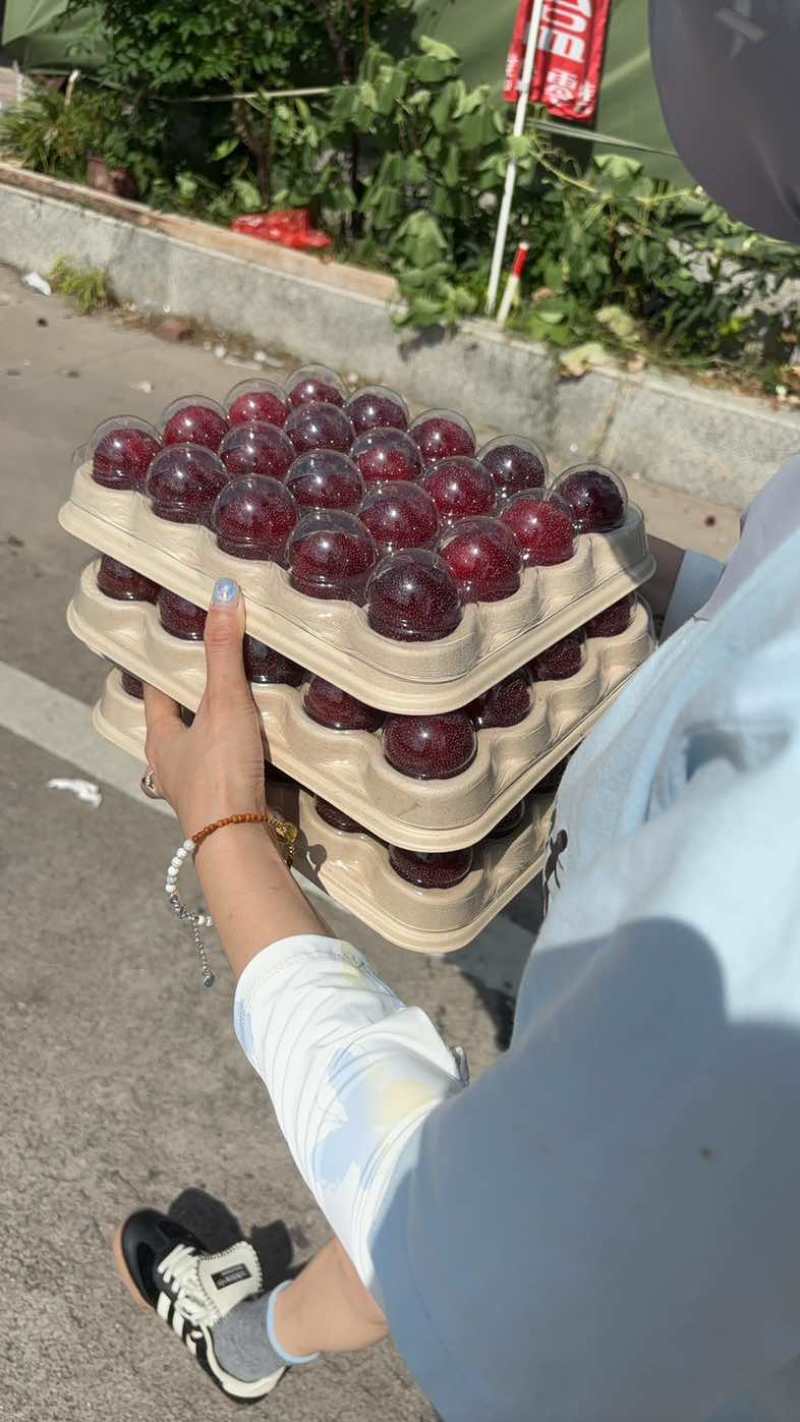 杨梅