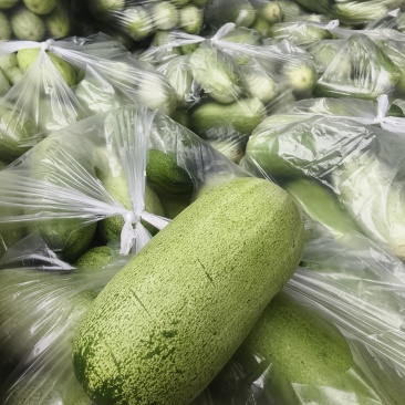 云南本地山黄瓜