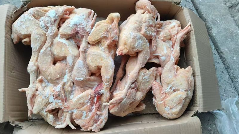 常年出售冻品白条鸡二级9-10只，价格只是临时的，要货联系