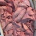 猪肺二级猪肺饲料量大从优