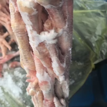 厂家二级鸡爪4吨
