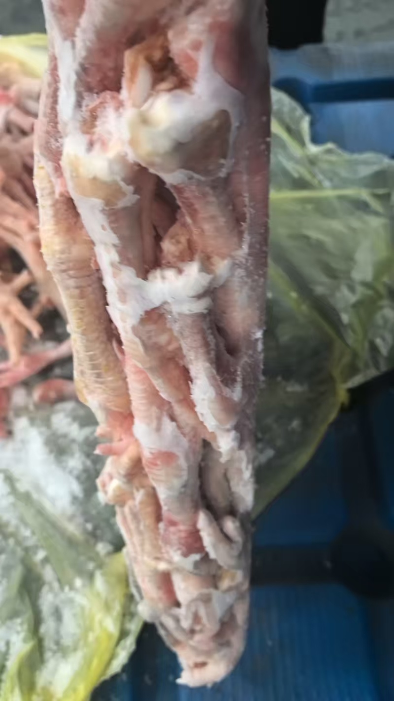 厂家二级鸡爪4吨