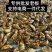 金蝉知了猴**批发老板，电商一件代发！
