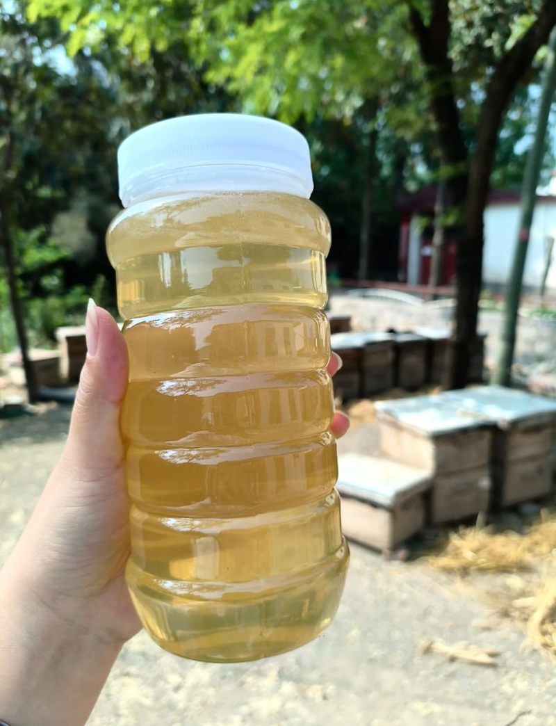 自家蜂蜜