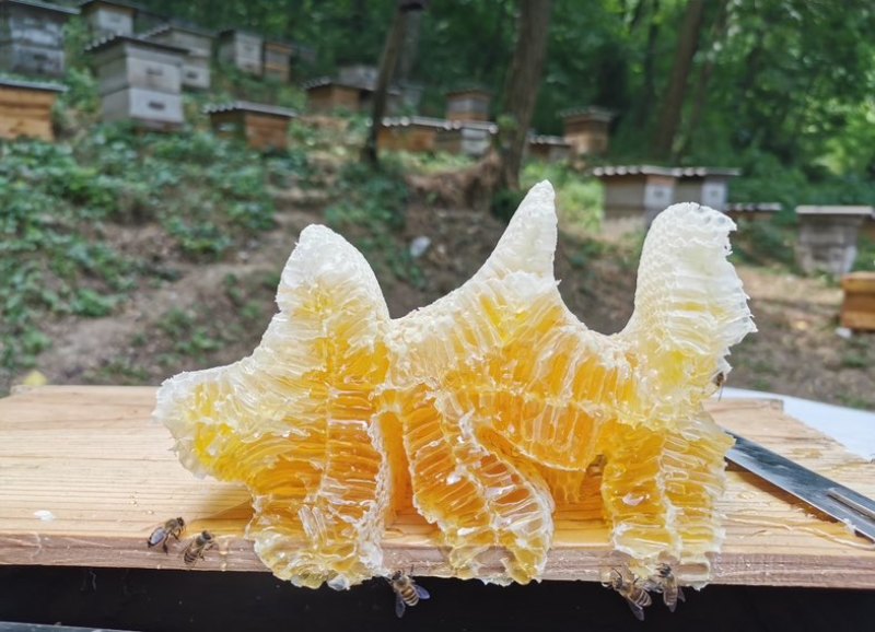 自家蜂蜜