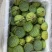大莲蓬4个一斤