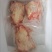 肉鸽