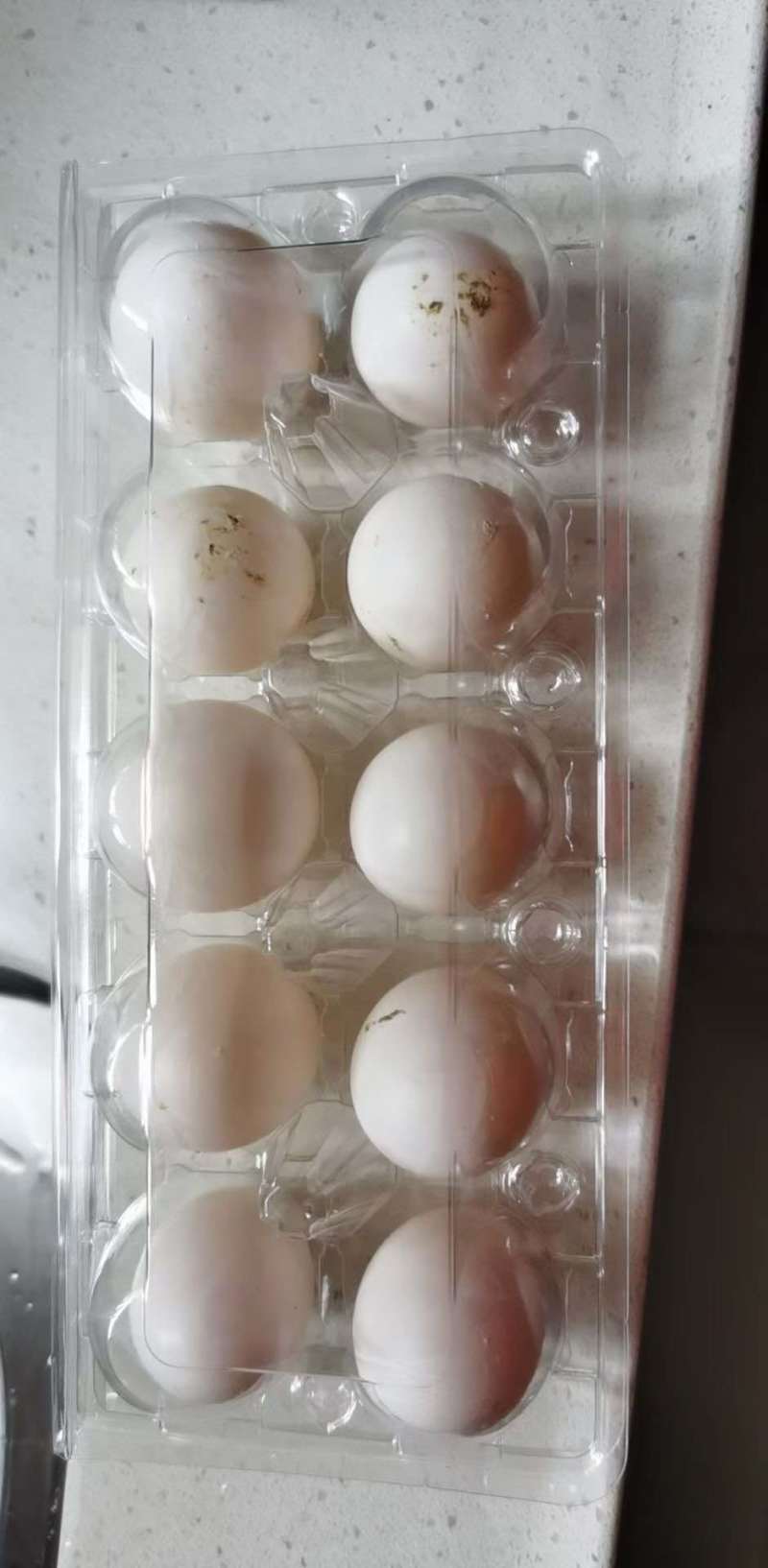 鸽子蛋