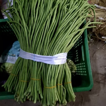 新鲜豆角，保嫩保鲜，长短不一，通货处理