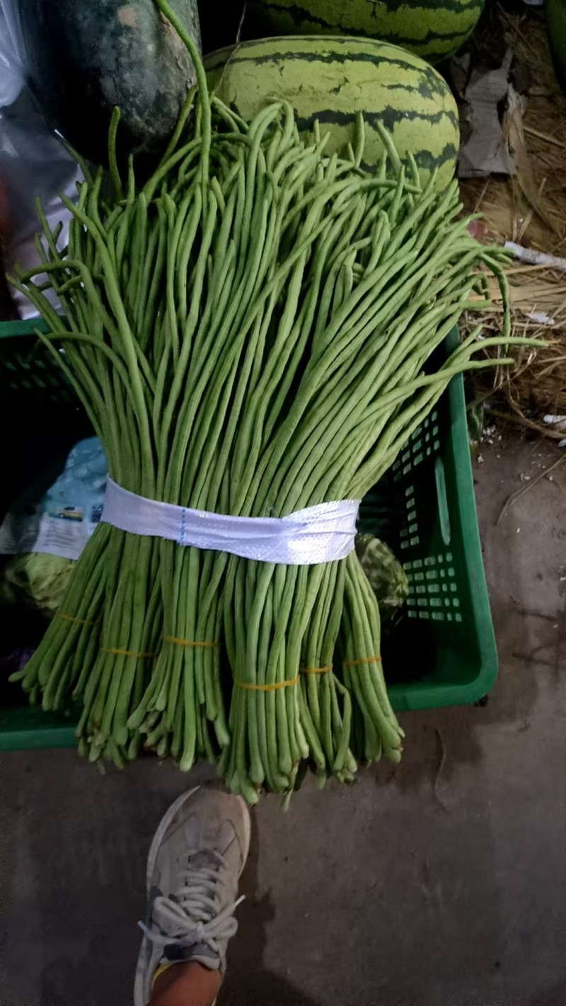新鲜豆角，保嫩保鲜，长短不一，通货处理