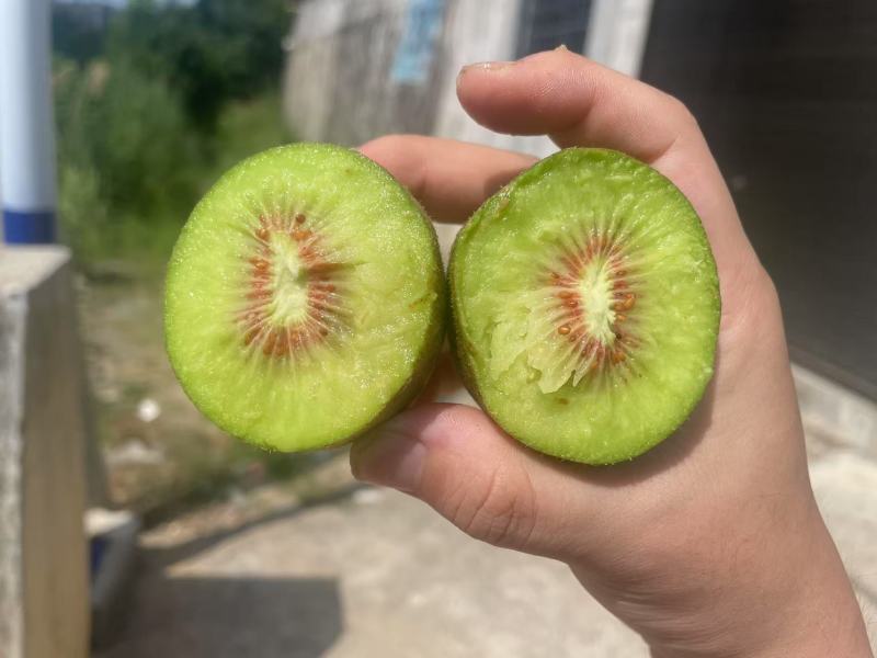 红心猕猴桃电商一件代发商超批发欢迎合作