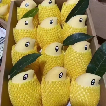 芒果