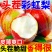 电商一件代发彩虹梨头茬新果
