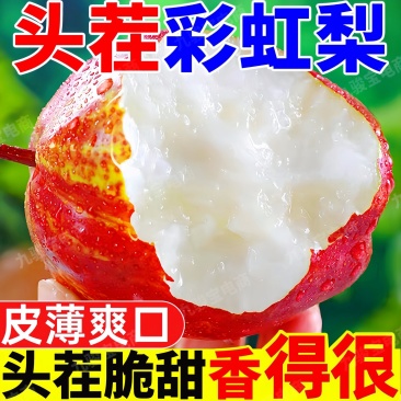 2025年，头茬新果彩虹梨，电商一件代发