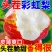 2025年，头茬新果彩虹梨，电商一件代发