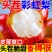 竞选中大果彩虹梨，源头直发，电商一件代发