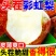 竞选中大果彩虹梨，源头直发，电商一件代发