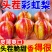 竞选中大果彩虹梨，源头直发，电商一件代发