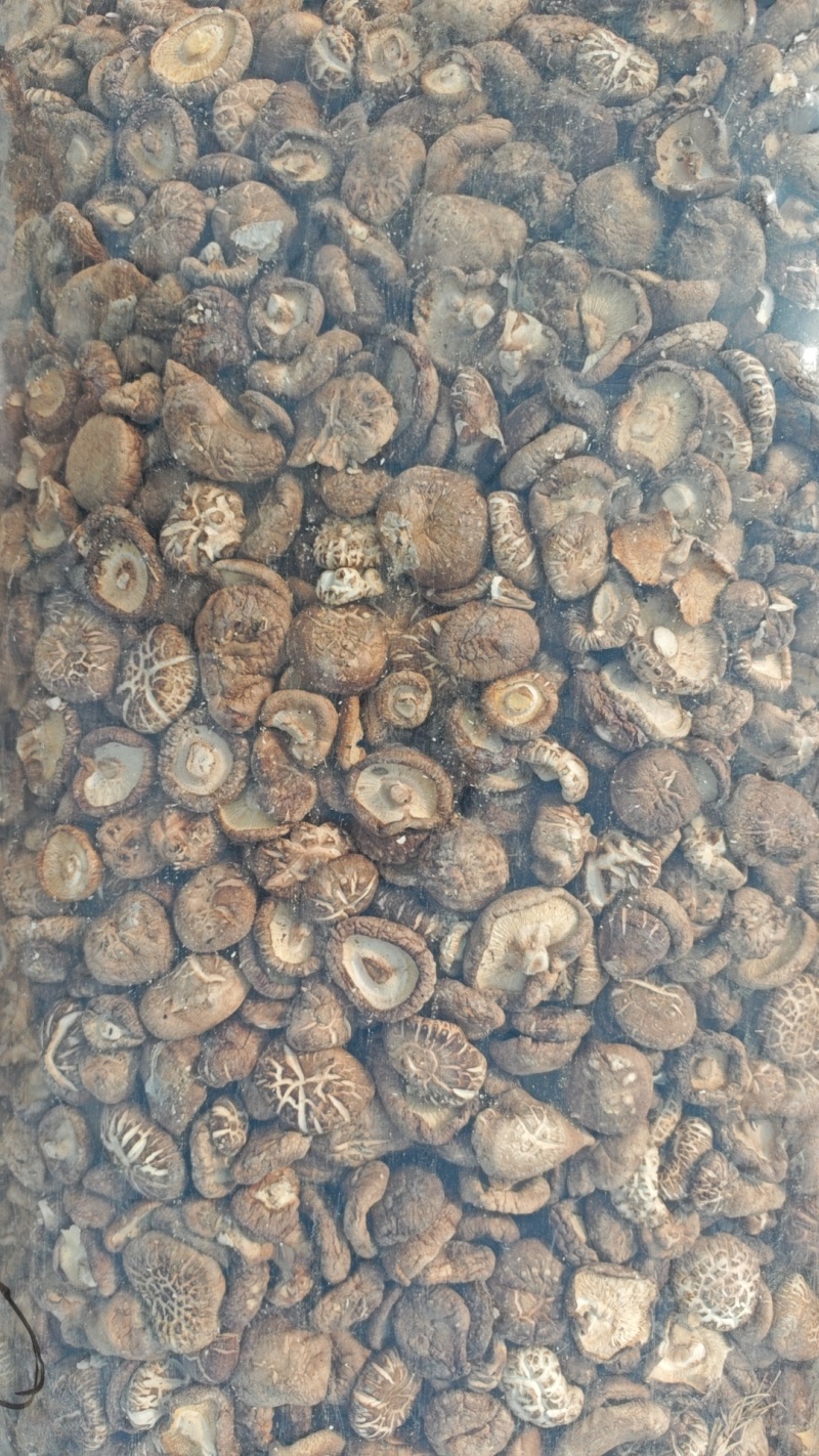 干香菇