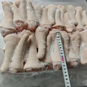 肥猪母猪长中短尾都有