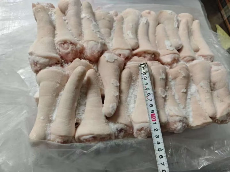肥猪母猪长中短尾都有