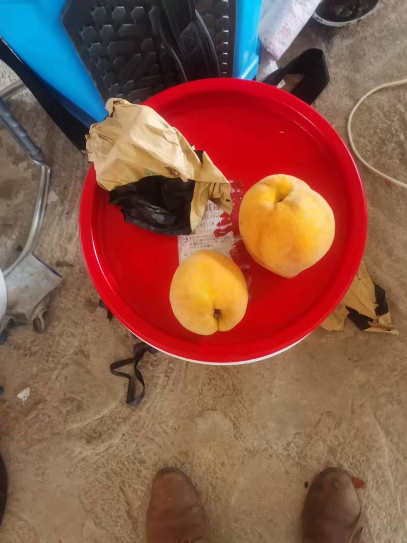 黄桃