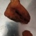 鸡宝