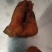 鸡宝