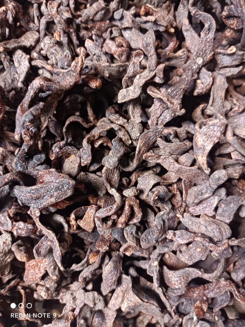 中药材/中药根茎类/骨碎补