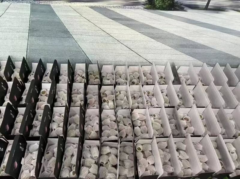 嵊州桃形李，小，中，大果都有