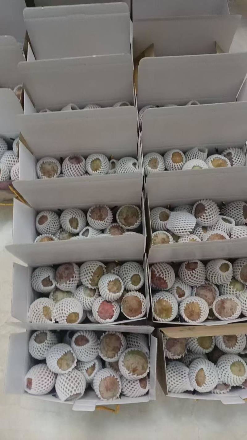嵊州桃形李，小，中，大果都有