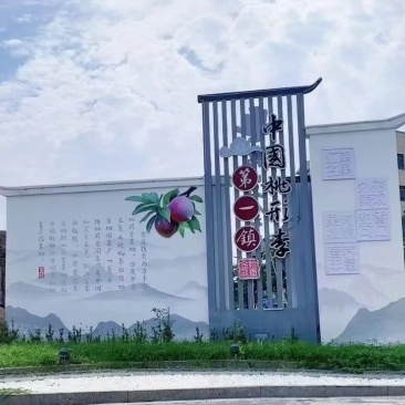 嵊州桃形李，小，中，大果都有