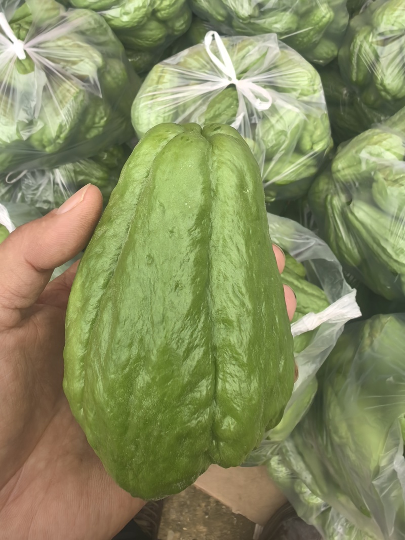 佛手瓜