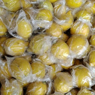 广东香黄果一级，口味可比优力克黄柠