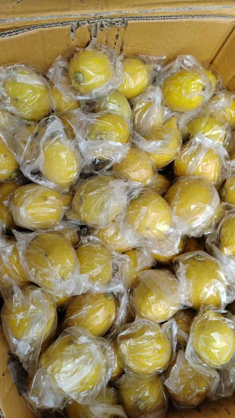 广东香黄果一级，口味可比优力克黄柠